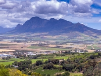 Paarl, Winelands